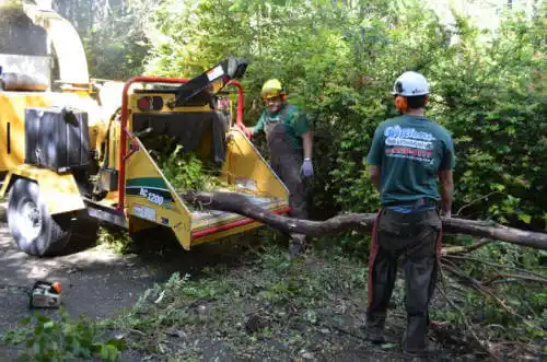 tree services West Miami